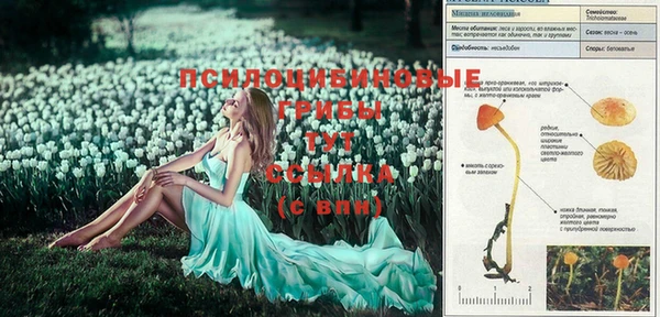 таблы Балабаново